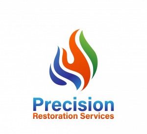 Precision Logo_Page_2