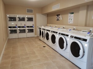 fronts and stacks pic